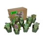 Borderpakket Herb Garden